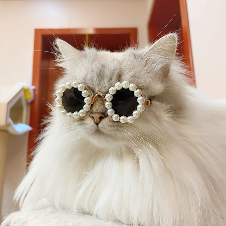 1pc PawPals Pet Glasses