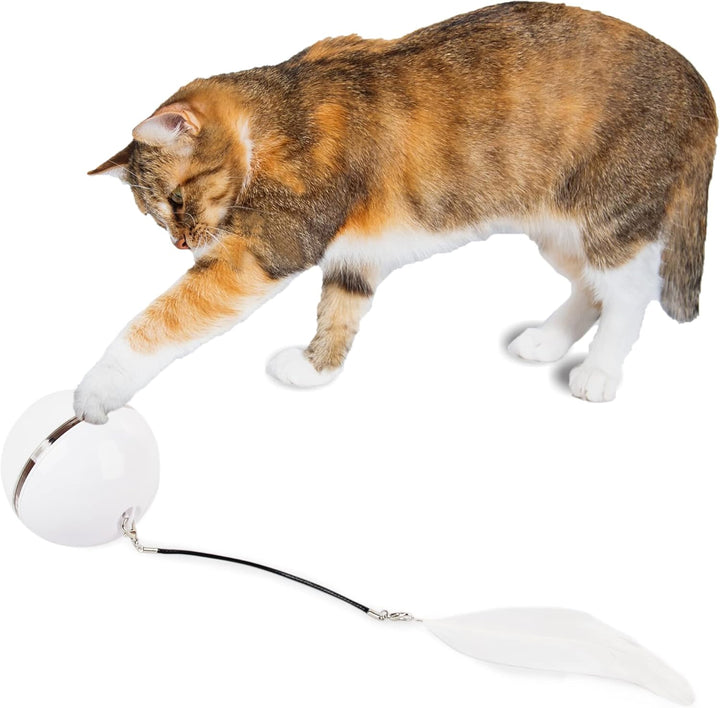 AFP- Interactive Rolling Laser Cat Toy-1