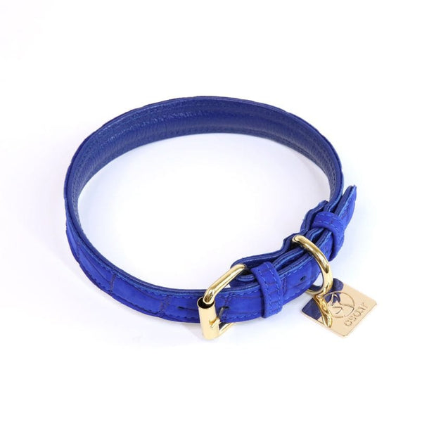 AZURE LEATHER COLLAR-2
