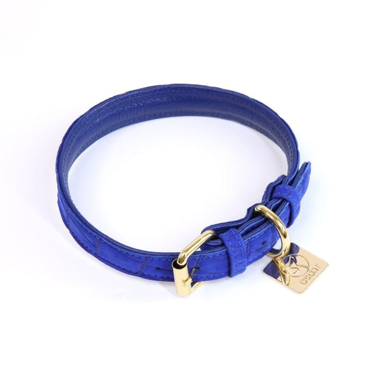 AZURE LEATHER COLLAR-2