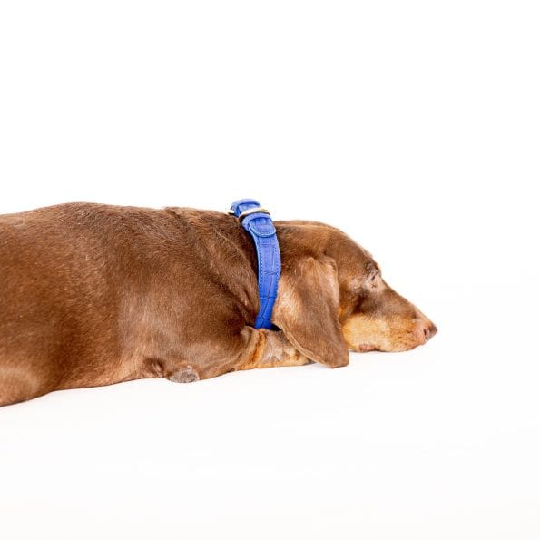AZURE LEATHER COLLAR-5