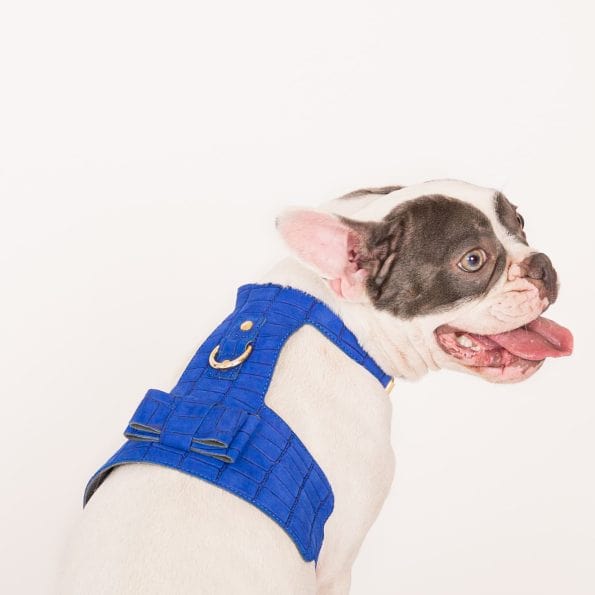 AZURE LEATHER HARNESS-2