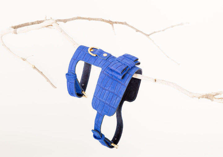 AZURE LEATHER HARNESS-4