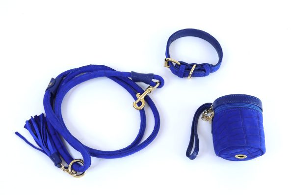 AZURE LEATHER LEASH-1