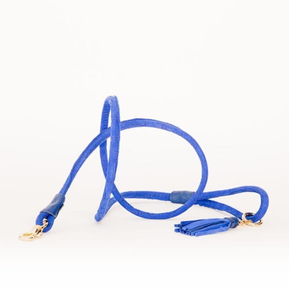 AZURE LEATHER LEASH-2