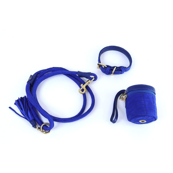 AZURE LEATHER POOP BAG POUCH-1