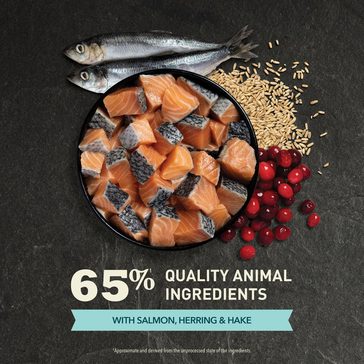 Acana Bountiful Catch Salmon With Whole Herring Adult Dry Cat Food-4
