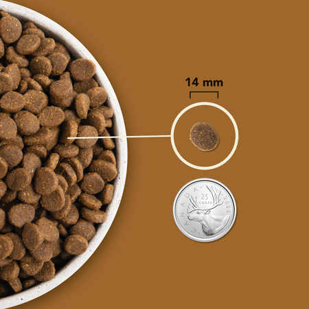 Acana Highest Protein Rachlands-4
