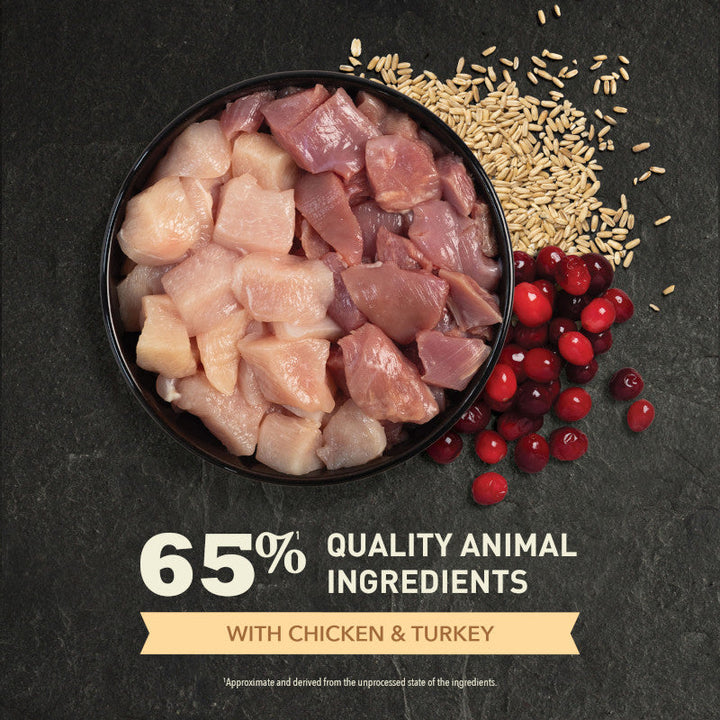 Acana Homestead Harvest Chicken With Turkey Dry Cat Food-2