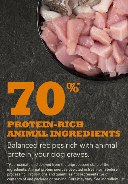 Acana Large Breed Puppy Dry Protein-3