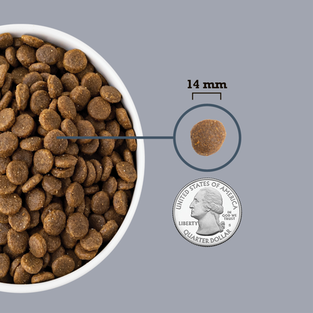 Acana Light and Fit Recipe Dry Dog Food-4
