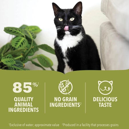 Acana Premium Chicken With Fish Pate Kitten-2