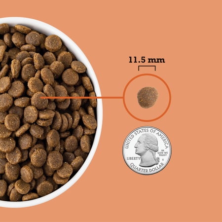 Acana Puppy Recipe Dry Puppy Food-5