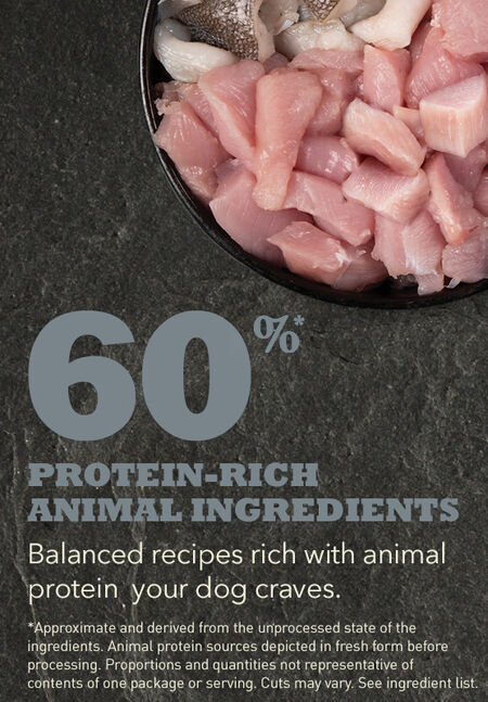 Acana Small Breed Adult Dog Protein-3