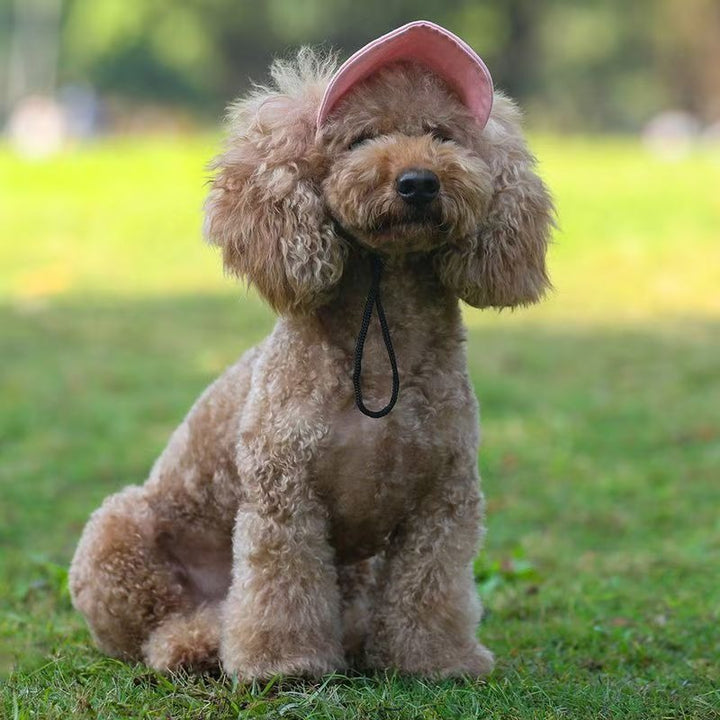Adjustable Dog Sun Hat with Elastic Band-2