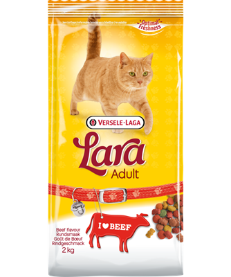 Adult Beef flavour