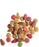 Adult Cat-Chunks With Salmon-1
