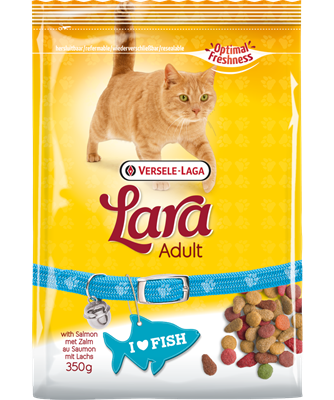 Adult Cat-Chunks With Salmon