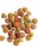 Adult Cat-Chunks with Turkey & Chicken-1