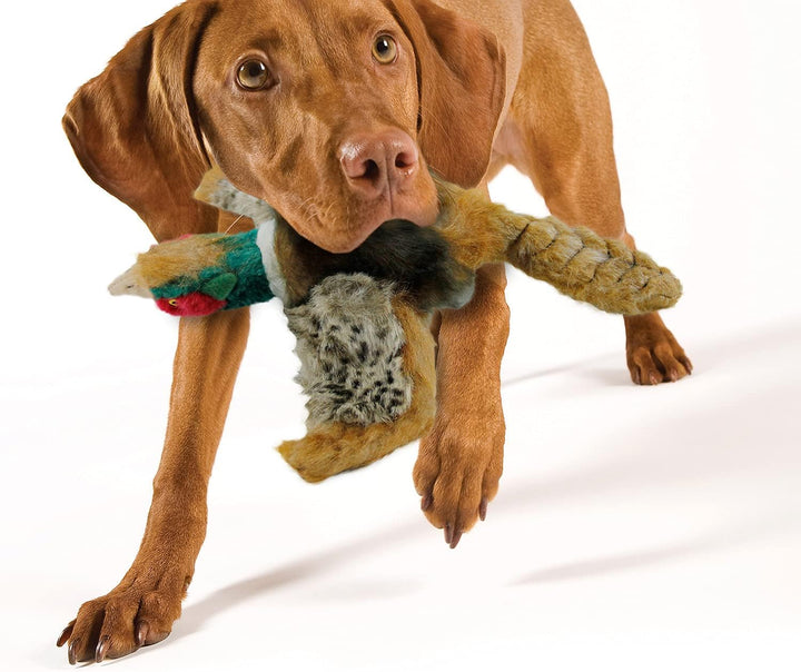 All For Paws Classic - Pheasant Small-3