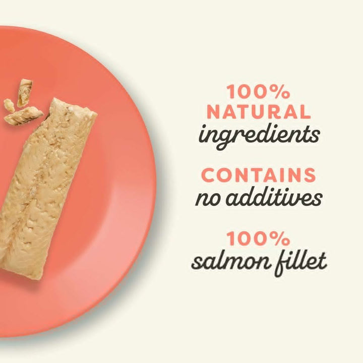 Applaws Salmon Fillet Cat Treats 30g-3
