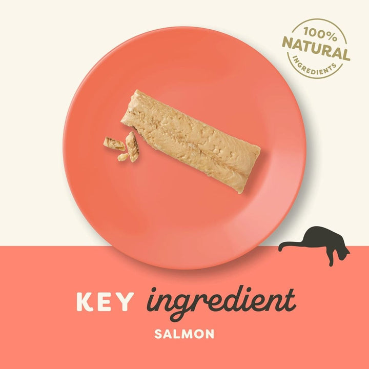 Applaws Salmon Fillet Cat Treats 30g-4