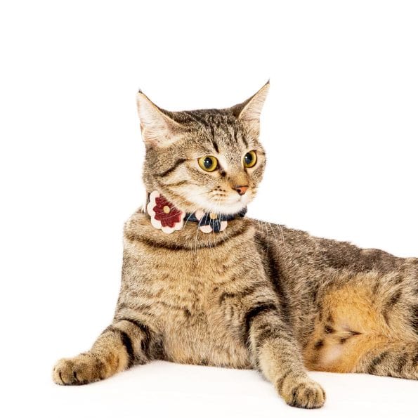 BLOSSOM COLLAR-4