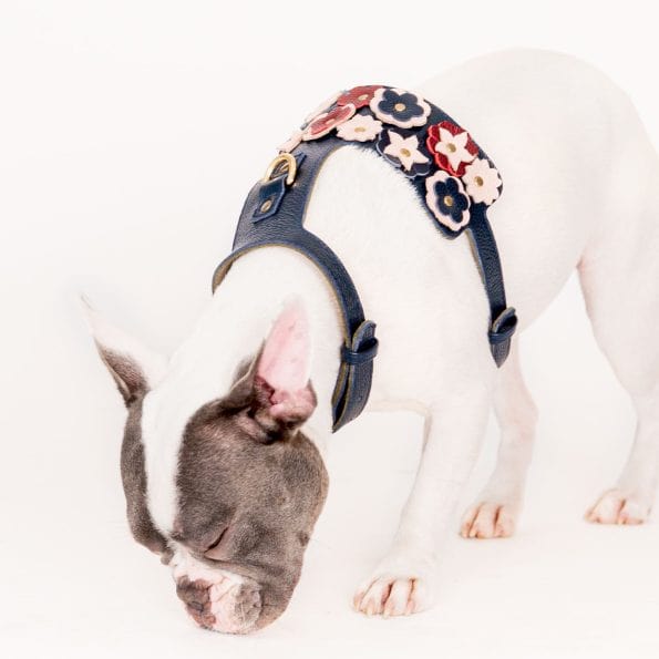 BLOSSOM LEATHER HARNESS