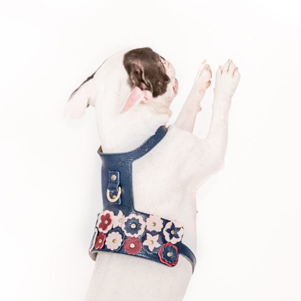 BLOSSOM LEATHER HARNESS
