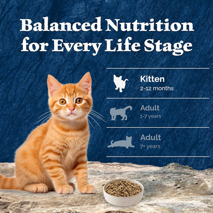 BLUE WILDERNESS Buffalo Cat Food-6