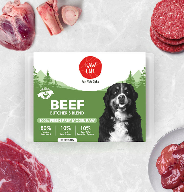  Beef Prey Model Dogs-800g-2