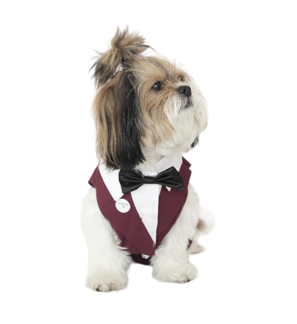BurgundyTuxedo-1