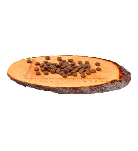 Carnilove Fresh Ostrich & Lamb for Small Breed Adult Dog Dry Food-2
