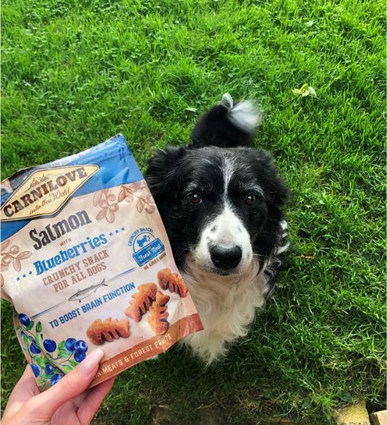 Carnilove Salmon with Blueberries Crunchy Snack for Dogs 200G-2
