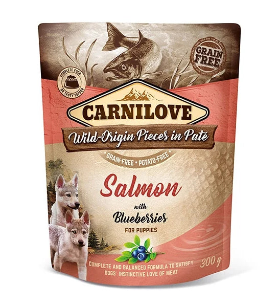 Carnilove Salmon with Blueberries for Puppies Wet Food 300G-1