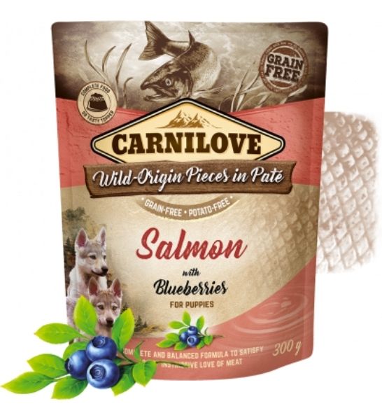 Carnilove Salmon with Blueberries for Puppies Wet Food 300G-2