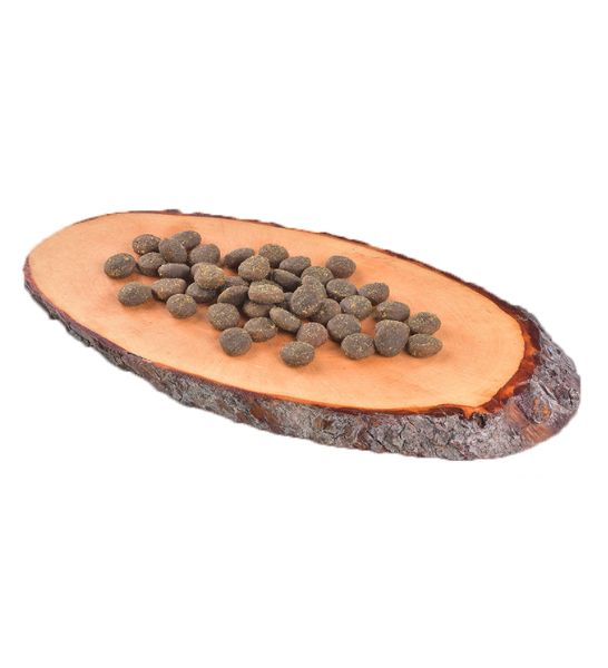 Carnilove True Fresh Fish for Adult Dogs Dry Food 1.4KG-2