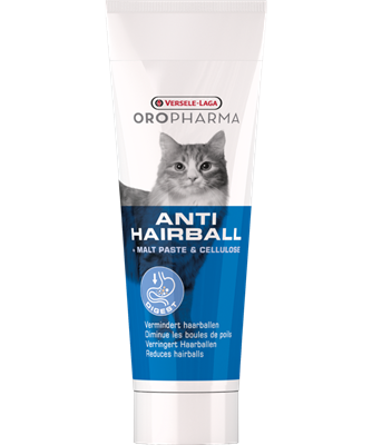 Cat Anti Hairball Paste