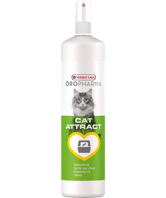 Cat Attract