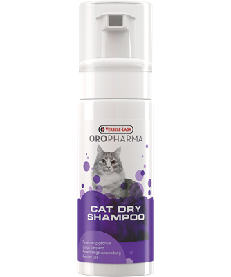 Cat Dry Shampoo