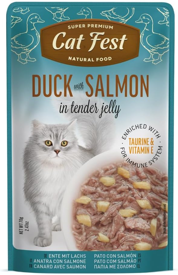 Cat Fest Duck With Salmon-2