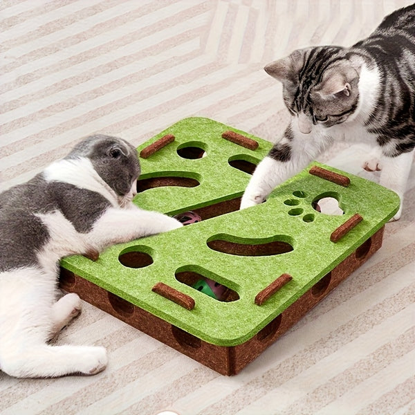 Cat Fun Box-1