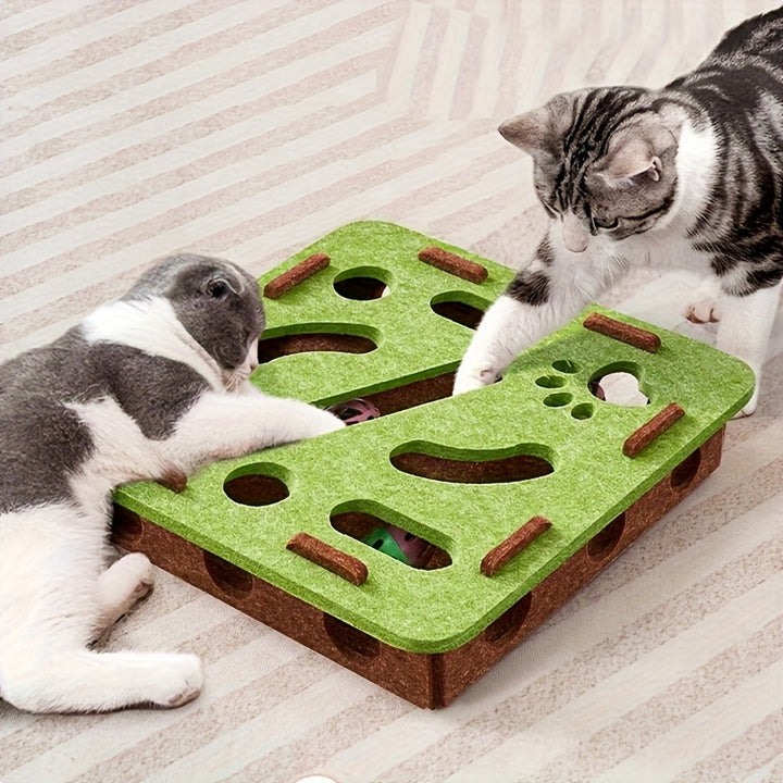 Cat Fun Box-1