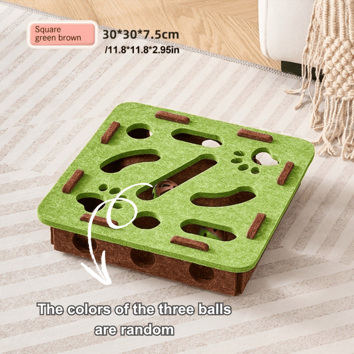 Cat Fun Box-2