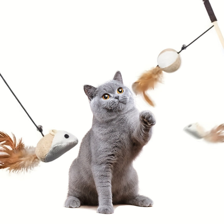  Cat Teaser Toy-4