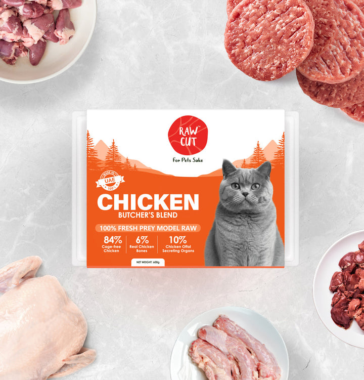 Chicken Prey Model Cats-600g-2