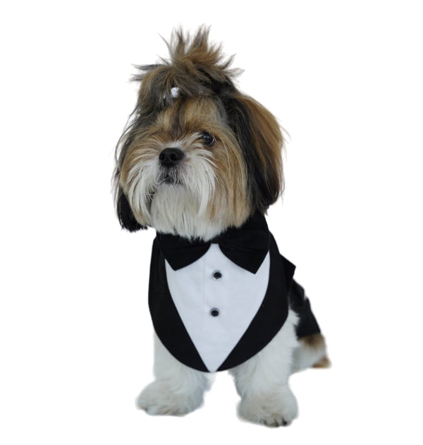 ClassicBlack_WhiteTuxedo-1