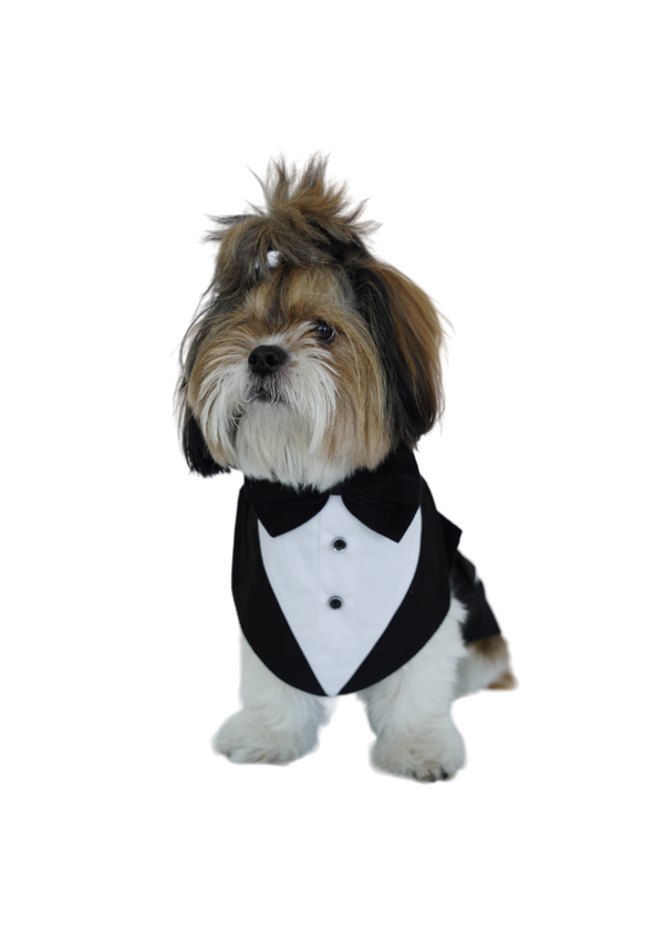 Classic Black & White Tuxedo-1