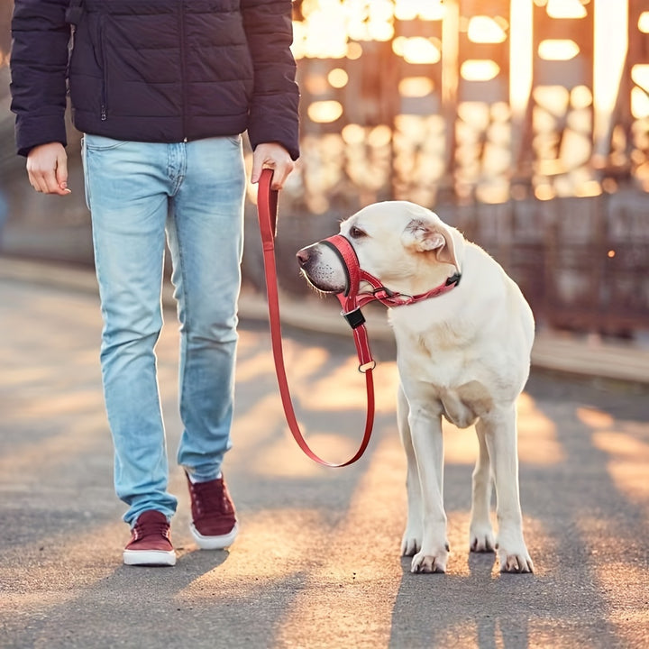 Comfort-Fit_Dog_Head_Halter_with_Leash-1