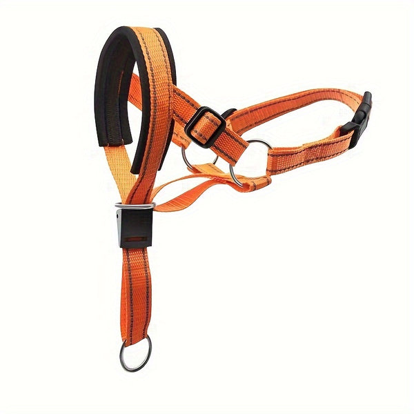 Comfort-Fit Dog Head Halter with Leash